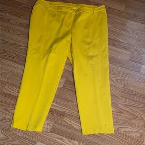 Midnight Velvet Bold Yellow Dress Pants